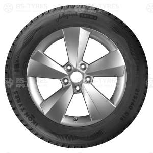 Ikon (Nokian Tyres) Autograph Snow C3 205/65 R16C 107/105R