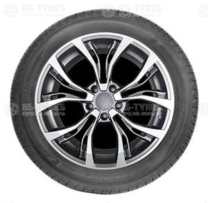 Autogreen Snow Chaser AW02 255/55 R19 111T