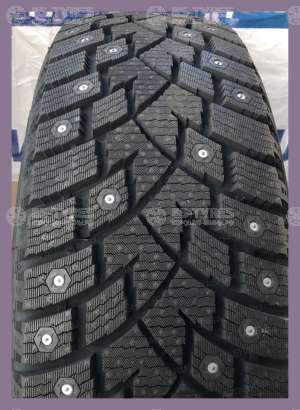Delinte Winter WD42 275/50 R21 113T