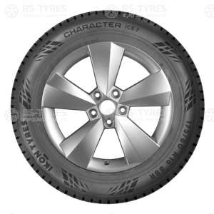 Ikon (Nokian Tyres) Character Ice 7 (Nordman 7) SUV 265/70 R16 112T