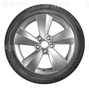 Ikon (Nokian Tyres) Character Snow 2 (Nordman RS2) SUV 235/50 R19 103T