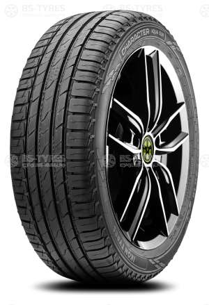 Ikon (Nokian Tyres) Character Aqua (Nordman S2) SUV 245/65 R17 111H