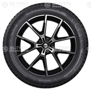 Triangle Snow PL01 245/70 R17 110T
