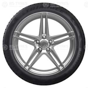 Triangle WinterX TW401 225/55 R16 99V