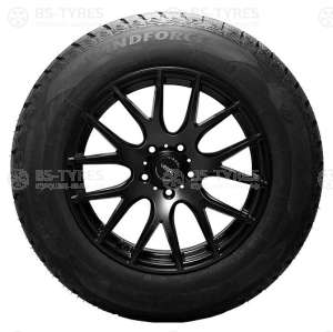 Windforce Icepower UHP 245/55 R19 107H